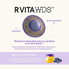 Frudia | Blueberry Hydrating Honey Lip Balm 10ml