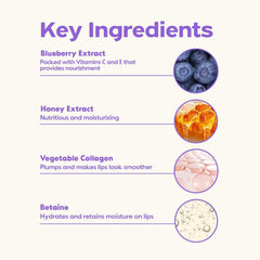 Frudia | Blueberry Hydrating Honey Lip Balm 10ml